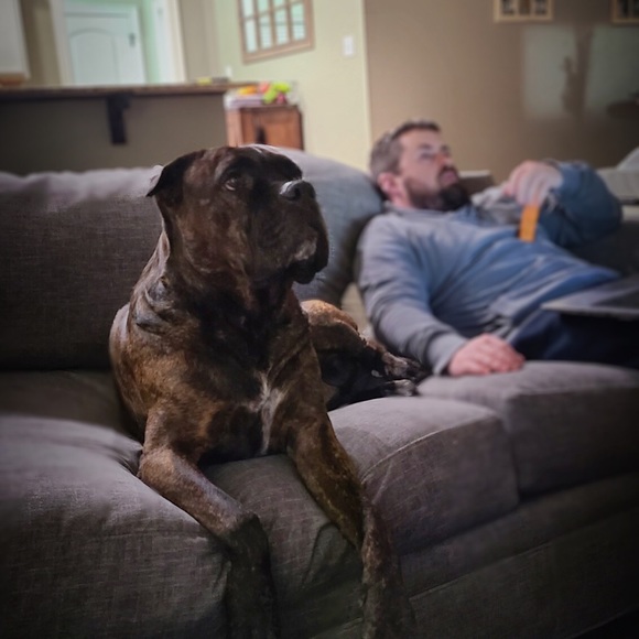 WELCOME TO MY CLOSET❤️THANK YOU FOR STOPPING BY - Picture 5 of 11